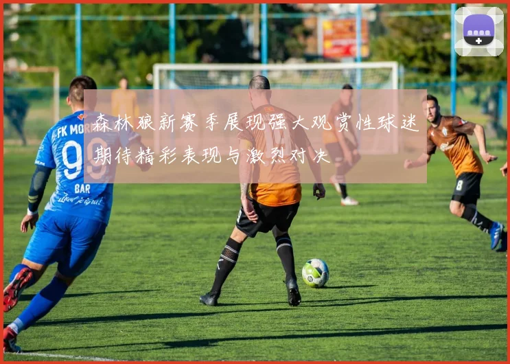 森林狼新赛季展现强大观赏性球迷期待精彩表现与激烈对决